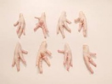 frozen halal fresh chicken paw - product's photo