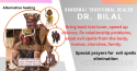 love spells +27648060105 genuine love spell caster in sebokeng, salt l - product's photo