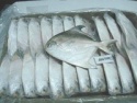 silver pomfret - product's photo