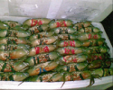 low-fat frozen soft shell crab - product's photo