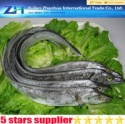 frozen ribbon fish - product's photo