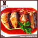 canned sardine in tomato sauce - product's photo